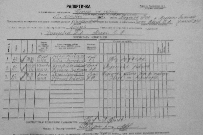 Рапортичка в школе образец