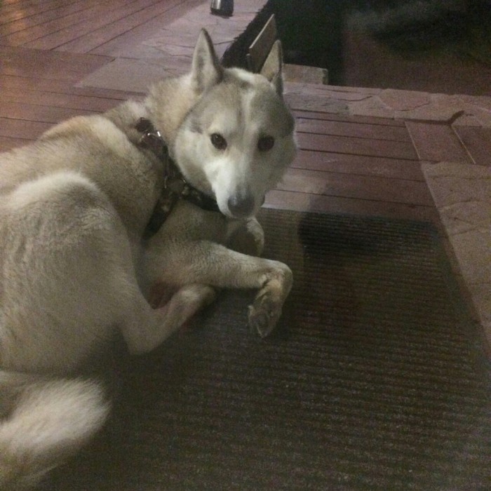 PMmyfGc4V-U.jpg (189.92 КБ) Просмотров: 6173 PMmyfGc4V-U.jpg