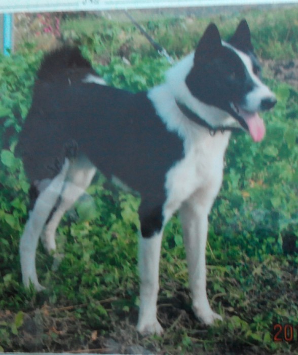 20151028174047-1.jpg (445.56 КБ) Просмотров: 1283 20151028174047-1.jpg