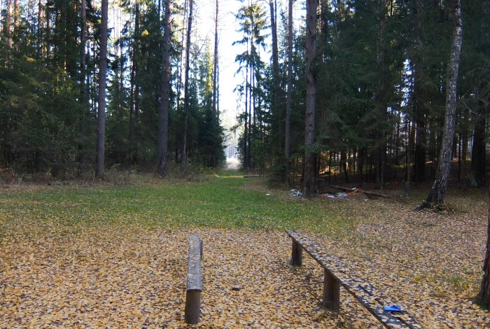 DSCF3574.jpg