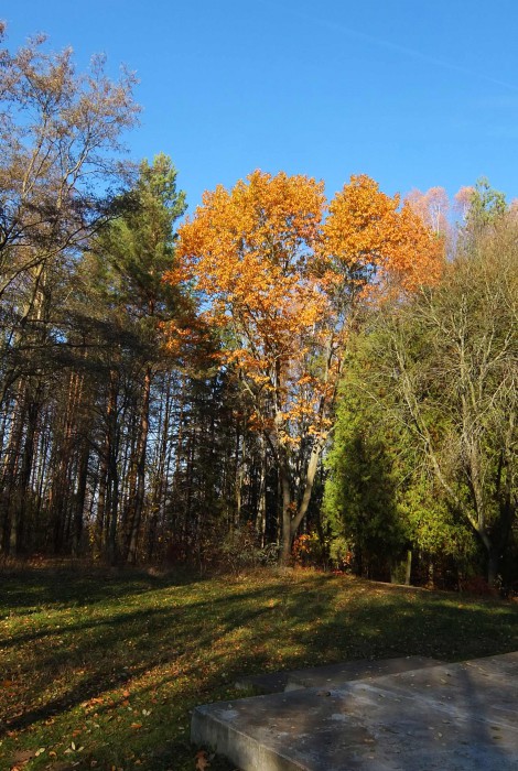 DSCF3589.jpg