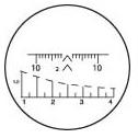 518803.jpg