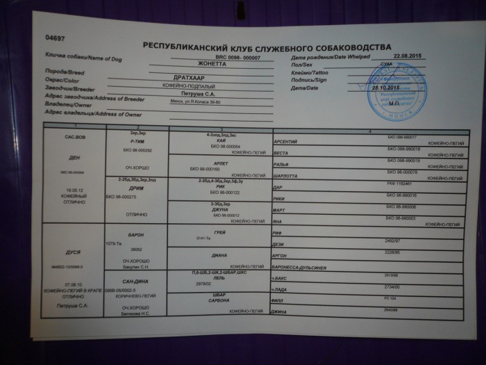 BWOIk91113c (1).jpg (174.88 КБ) Просмотров: 3132 BWOIk91113c (1).jpg