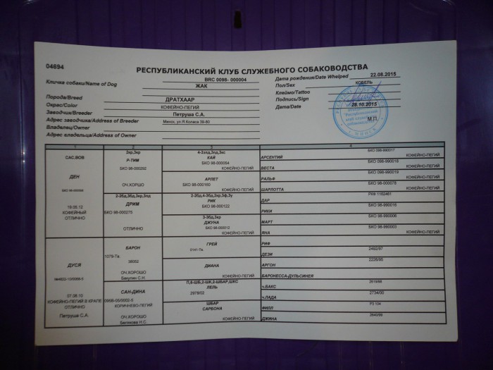 L2RmOERFRk4 (1).jpg (173.59 КБ) Просмотров: 3132 L2RmOERFRk4 (1).jpg