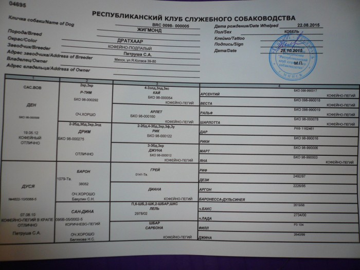 snBRAeKekwc.jpg (195.13 КБ) Просмотров: 3132 snBRAeKekwc.jpg