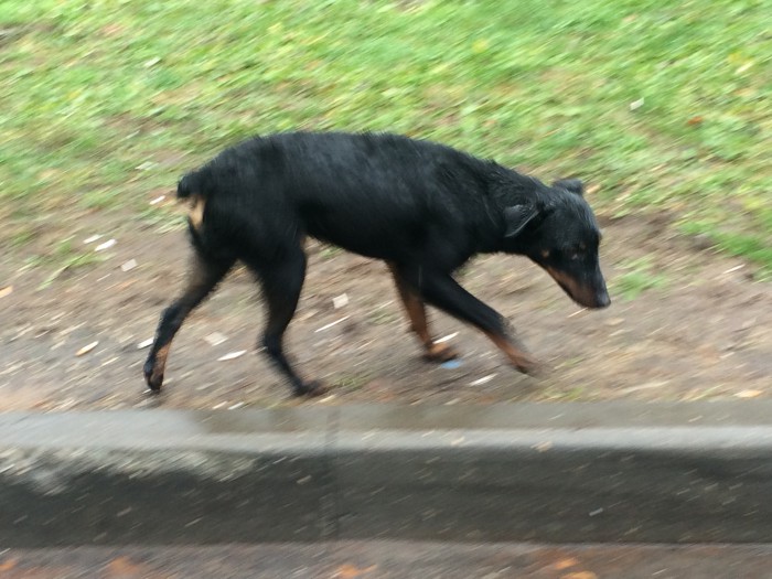 image.jpeg
