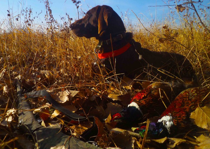 дубль Арго ко дню 7 ноября.jpg (409.43 КБ) Просмотров: 15519 дубль Арго ко дню 7 ноября.jpg