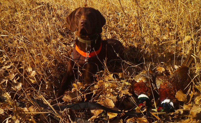 Безимени-2.jpg (384.03 КБ) Просмотров: 15158 Безимени-2.jpg