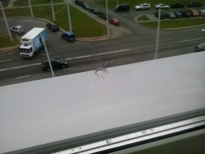 20151116_103218.jpg