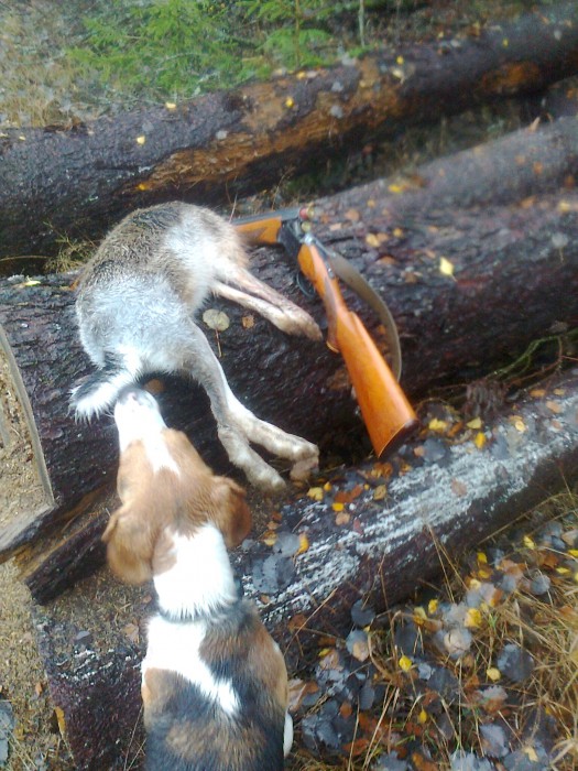 Фото0328.jpg (757.81 КБ) Просмотров: 5403 Фото0328.jpg