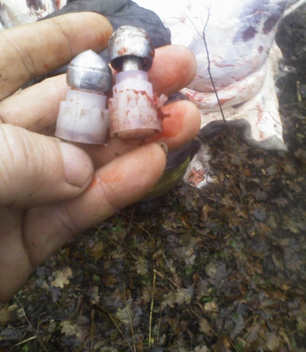 Фото 11.jpg (236.79 КБ) Просмотров: 7576 Фото 11.jpg