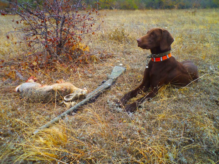 Арго с добычей.jpg (853.48 КБ) Просмотров: 5626 Арго с добычей.jpg