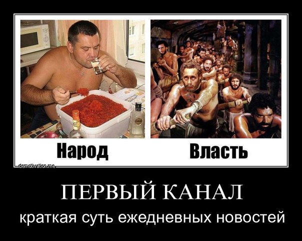 444907_original.jpg