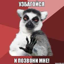 images (17).jpg