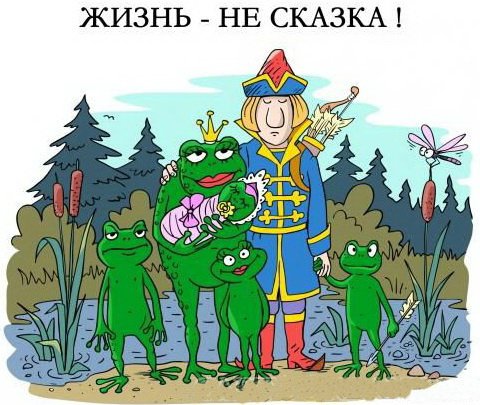0228d49b2bab.jpg