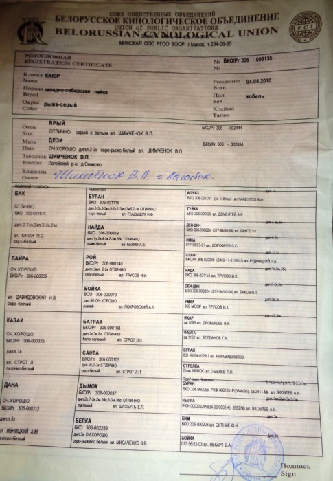 Шэт.JPG (468.53 КБ) Просмотров: 1797 Шэт.JPG