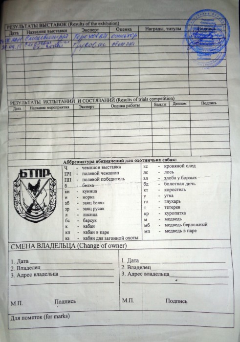 Шэт2.JPG (525.81 КБ) Просмотров: 1797 Шэт2.JPG