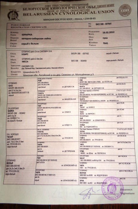 Шныра.JPG (478.73 КБ) Просмотров: 1797 Шныра.JPG