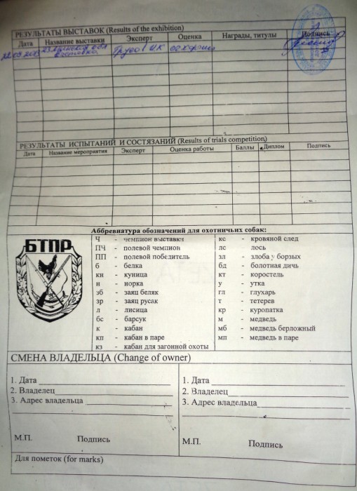Шныра2.JPG (527.57 КБ) Просмотров: 1797 Шныра2.JPG