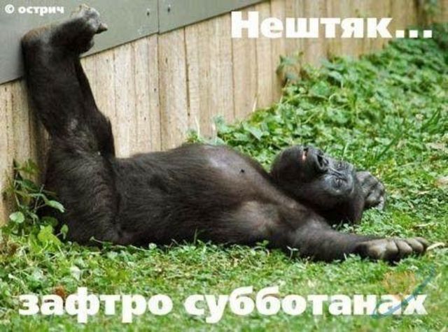 106c2027278.jpg