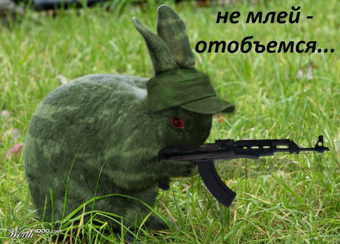 заяц автоматчик.jpg