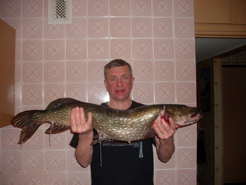 SDC12480.JPG