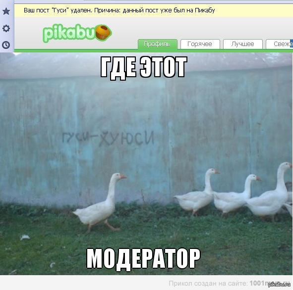 1365271165_1682483923.JPG