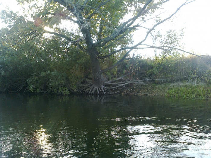 Фото0777.jpg (1.37 МБ) Просмотров: 11842 Фото0777.jpg