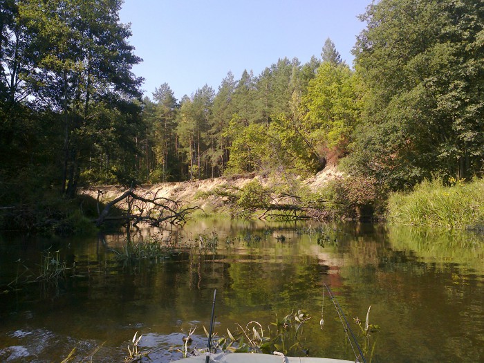 Фото0784.jpg (1.7 МБ) Просмотров: 11842 Фото0784.jpg