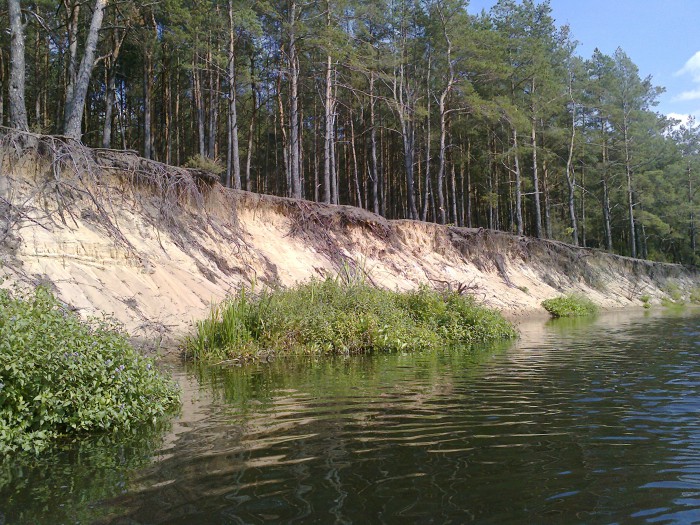 Фото0790.jpg (1.82 МБ) Просмотров: 11842 Фото0790.jpg