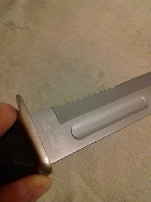 sPW41tilshw.jpg