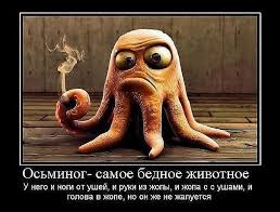 images (43).jpg