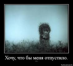 загружено.jpg