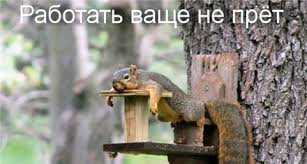 загружено (1).jpg