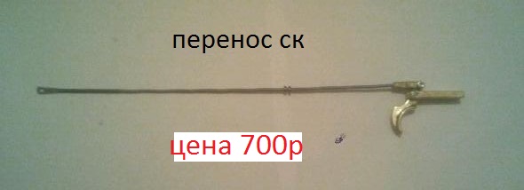 13751313.jpg