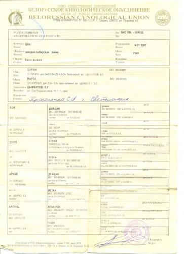 Мамина родословная.jpg (146.87 КБ) Просмотров: 2312 Мамина родословная.jpg