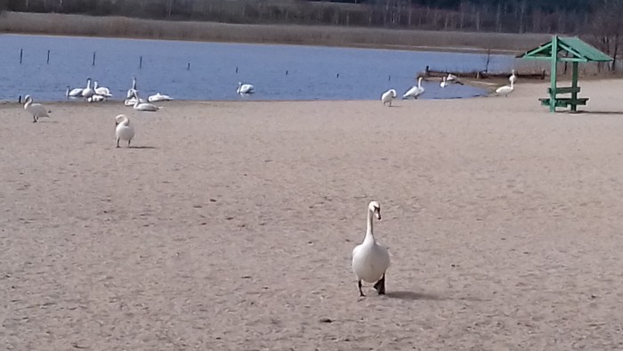 20160403_124310.jpg