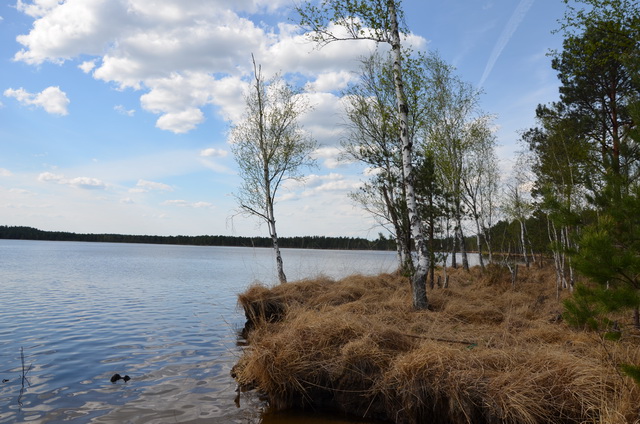 Озеро левки стародорожский район