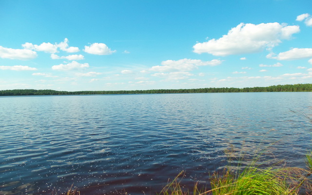 Озеро левки стародорожский район