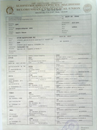 14022012097.jpg