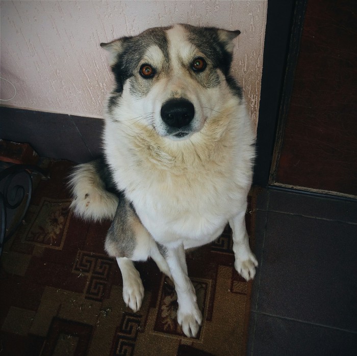 dWn8RtKLHaE.jpg (1 МБ) Просмотров: 1631 dWn8RtKLHaE.jpg