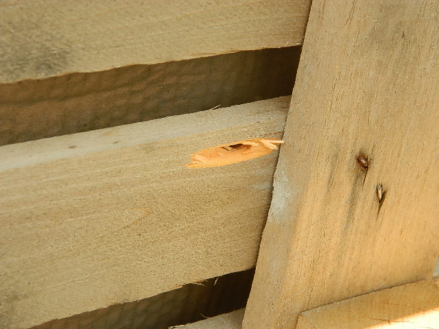 DSCN0219.JPG