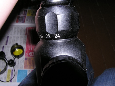 1254923.jpg