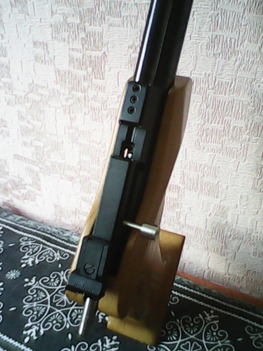 канд2.jpg