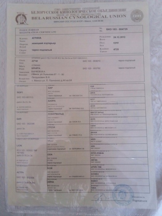 j8OH-Qs0YJg.jpg (73.55 КБ) Просмотров: 2548 j8OH-Qs0YJg.jpg