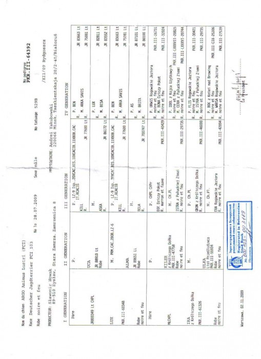 родословная аргоши 002.jpg (91.37 КБ) Просмотров: 2494 родословная аргоши 002.jpg