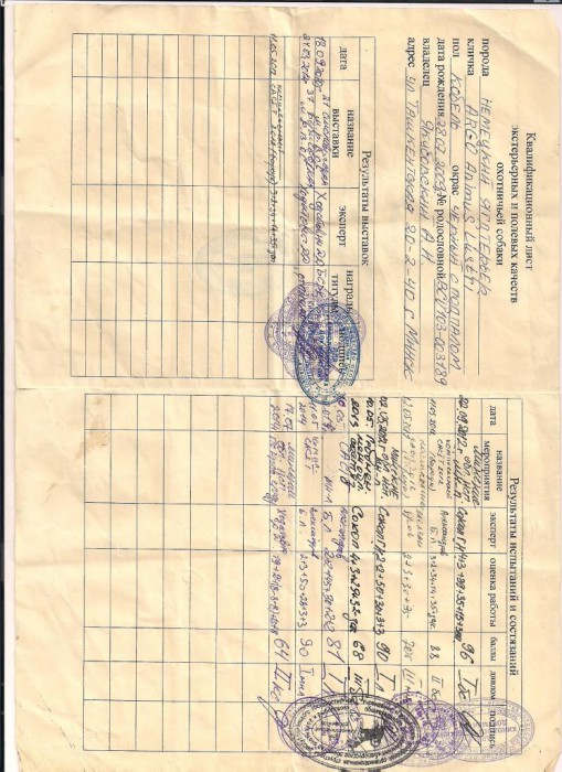 аргоша квалификация новая.jpg (155.22 КБ) Просмотров: 2896 аргоша квалификация новая.jpg
