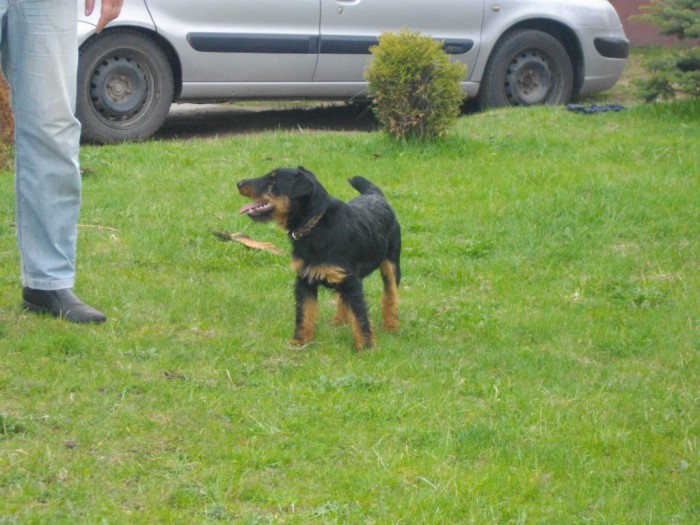 аргошаc.JPG (206.98 КБ) Просмотров: 2494 аргошаc.JPG