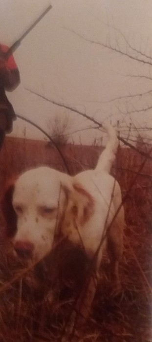 20160711_215635-1.jpg (1.89 МБ) Просмотров: 2217 20160711_215635-1.jpg