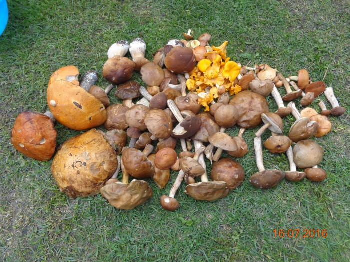 DSC04816.JPG